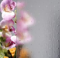 SGG_MARIS